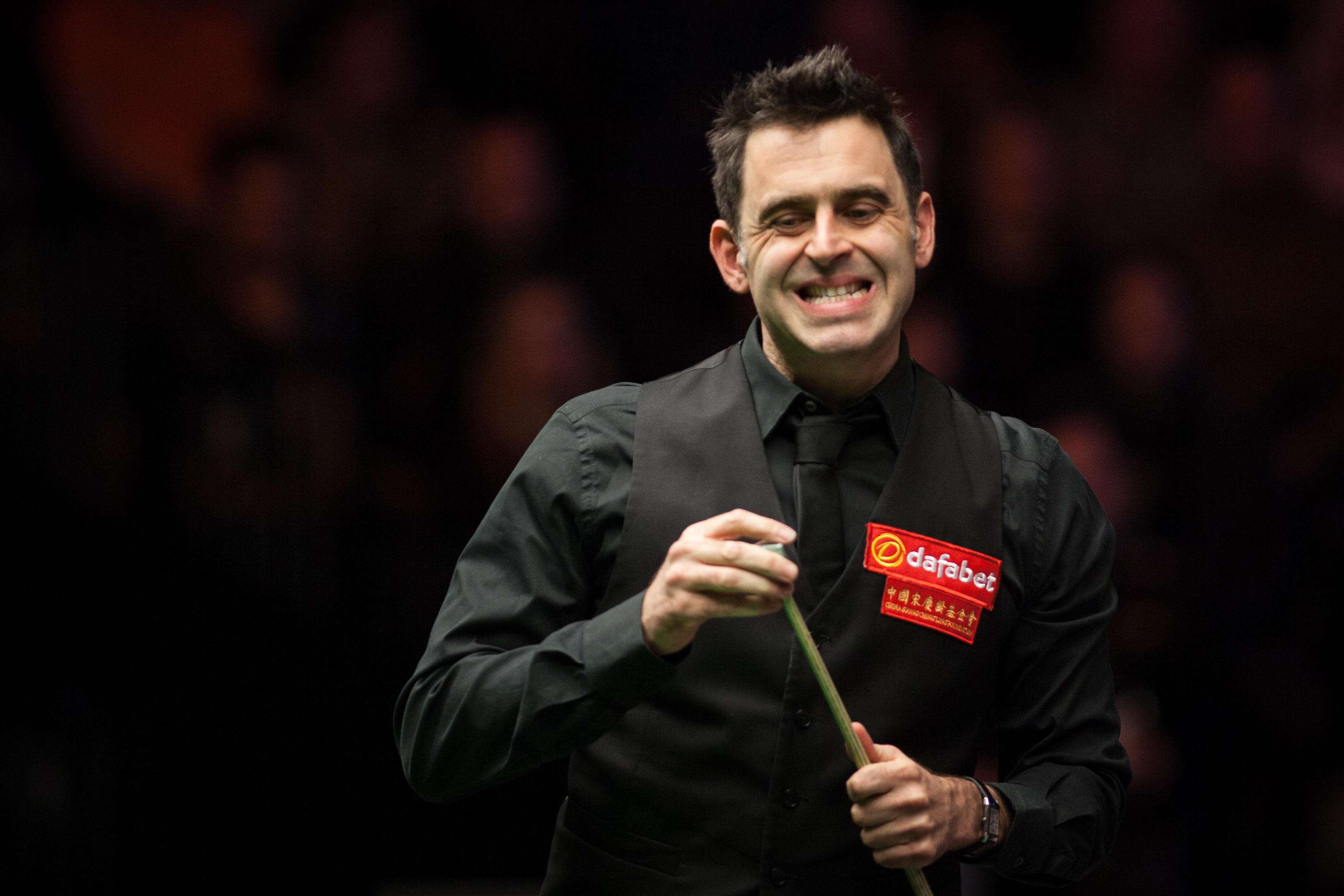 具备超强的 具备超强的